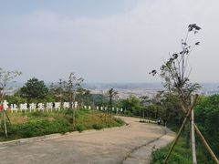 -金山植物公园