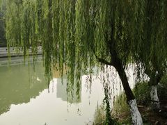 -217丰惠源抓饭(星湖街店)