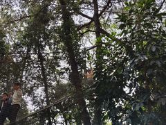 -芦仙山景区-飞越丛林探险乐园