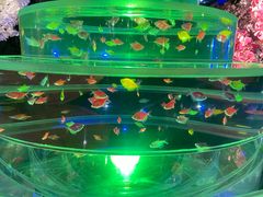 -海合安青岛极地海洋公园