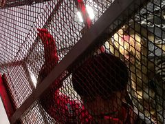 -长藤鬼校(龙翔店)