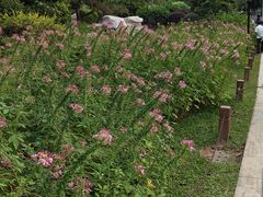 -东莞植物园