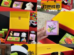 -成都大熊猫繁育研究基地