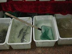 -温州山水家园农庄