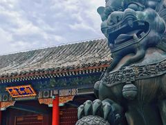 -颐和园