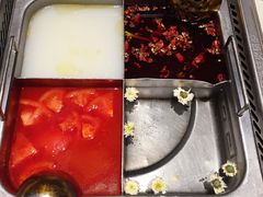 四宫格锅底-海底捞火锅(亲子主题北金鹰店)