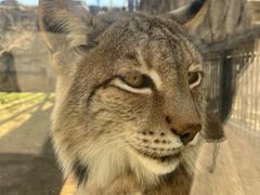 -石家庄市动物园