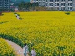 -远山有窑