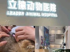 -立德24H动物医院·夜诊·转诊中心·1.5T核磁共振(海珠店)