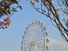 -观澜湖生态运动公社