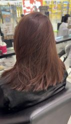 -东方麒麟·潘多拉SALON