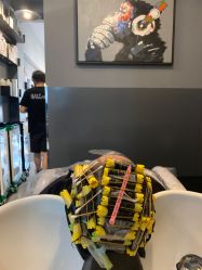 -G.O.T salon