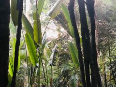 -龙达温泉生态城