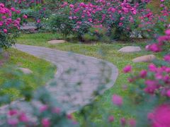 -人民公园(罗湖区)