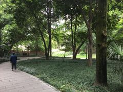 -成都市活水公园