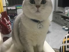-美联众合动物医院·24h京西诊疗中心