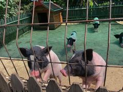 -清河半岛温泉度假酒店