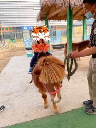 -萌宠亲子动物乐园(槐房万达店)