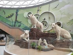 -陕西自然博物馆