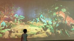 -恐龙探索乐园(磁器口店)