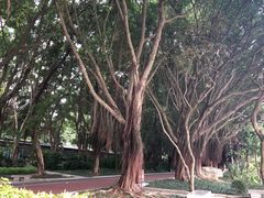 -南宁南湖公园