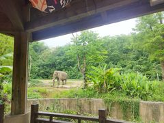 -宁波野生动物园