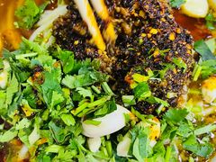 -老麻面馆(总店)