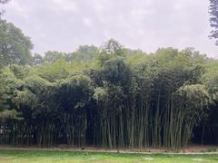 -河南省黄河迎宾馆