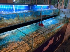 -佰园全日西餐厅-厦门佰翔软件园酒店