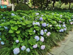 -常州古运河南大街文化旅游区-人民公园