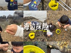 -黑石礁公园