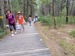 -帽儿山国家森林公园