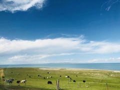 -青海湖国家重点风景名胜区
