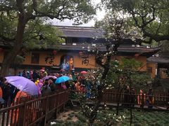 -普陀山风景名胜区-法雨禅寺
