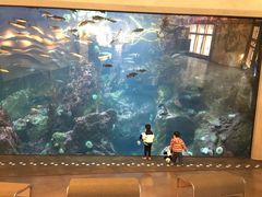 -西雅图水族馆