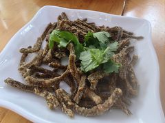 -乐山第一家临江鳝丝(茶坊路店)