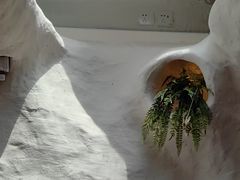 -Sirena海妖日咖夜酒