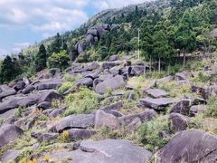 -玉苍山国家森林公园