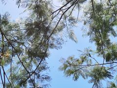 -仙岳公园