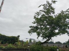 -雅安上里古镇