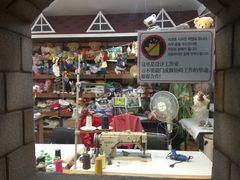 -济州岛泰迪熊博物馆