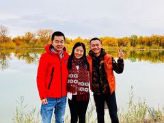 -金塔沙漠胡杨林景区