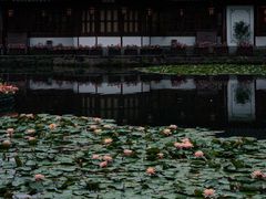 -郭庄景区