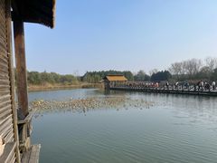 -溱湖国家湿地公园