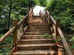 -大岭沟猕猴桃谷风景区