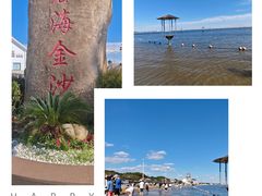 -碧海金沙