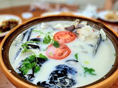 -全乐鱼馆·淳牌有机鱼直营店