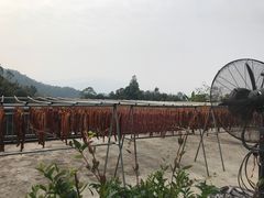 -天强农家菜馆