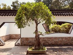 -深圳国际园林花卉博览园