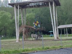 -哈尔滨北方森林动物园